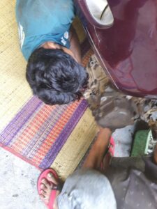 Maxam_Motors (16)