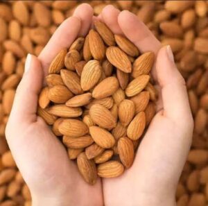Almonds (1)