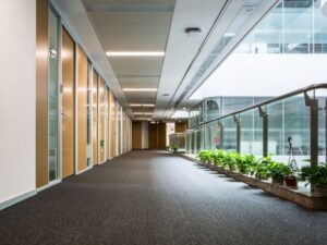 Carpets (16)