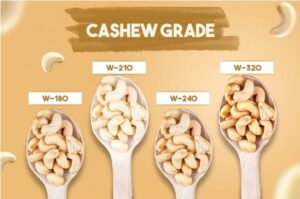 Cashew (2)