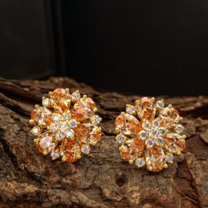 Earrings (25)