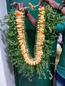 GARLAND (15)