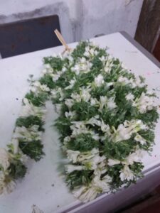 GARLAND (16)