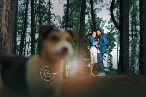 PG Mahesh Photography (1)