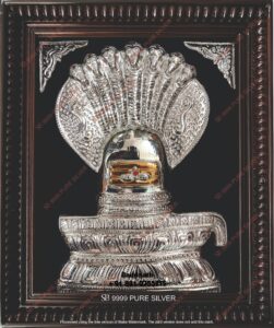 Shiva Related Frames (21)