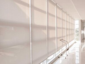 Window Blinds (1)