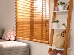 Window Blinds (6)
