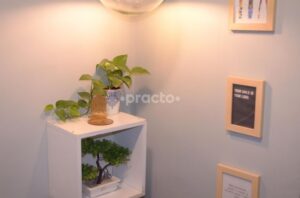 The Dentist Clinic (5)