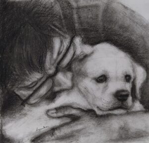 Visual Art (6)