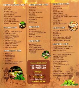 Laksminatha Ayurvedic Center (2)