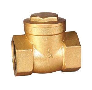 Brass Swing type Check Valve