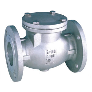 FLANGED CHECK VALVE