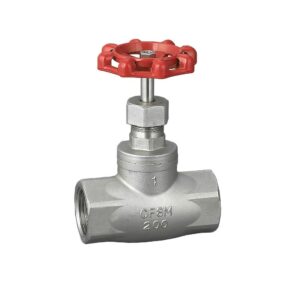 GLOBE VALVE