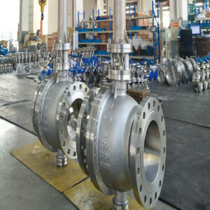 S.S. Valves