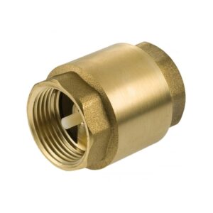 SPRING CHECK VALVE