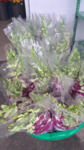 Sreeram Flora (10)