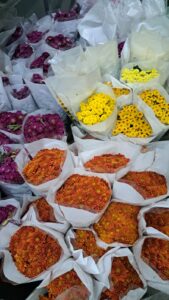 Sreeram Flora (8)